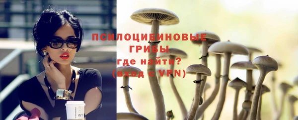 дурь Аркадак