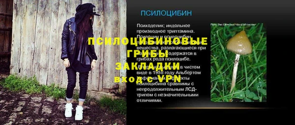apvp Арсеньев