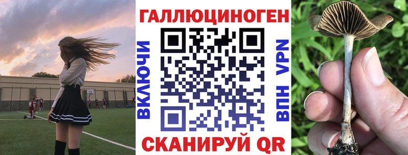 hydra маркетплейс  Лесосибирск  Галлюциногенные грибы GOLDEN TEACHER 